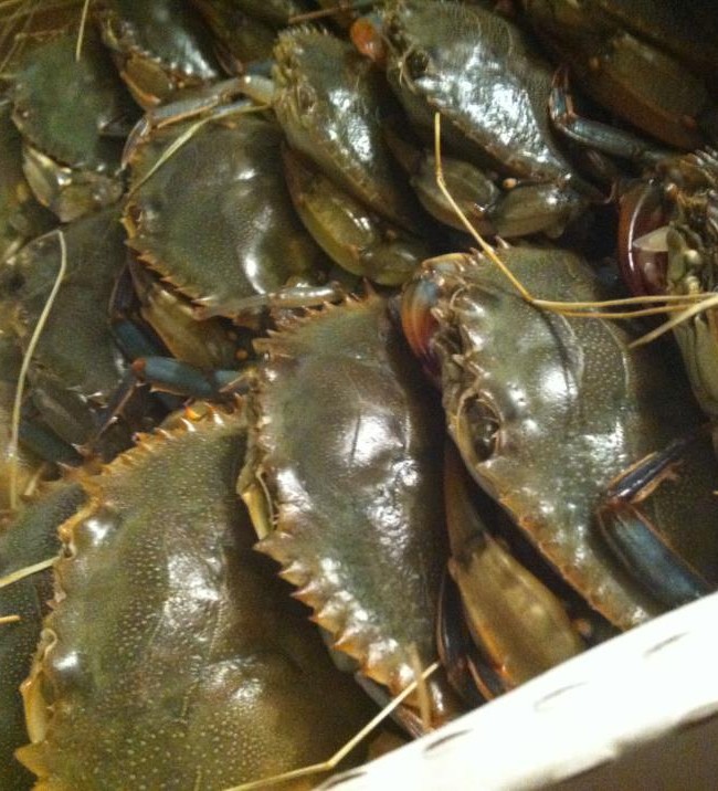 Fresh soft shelled crabs