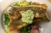 Jolt head porgy with spring pea tendrils, local radish and wild ramp butter